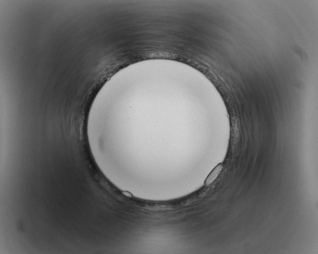 X0000116030695200912312213