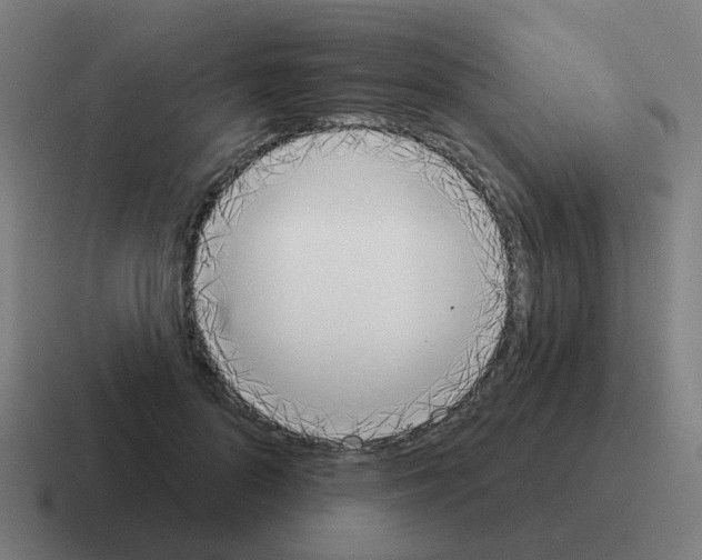 X0000116030696200912312213
