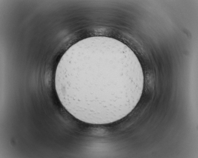 X0000116030698200912312213