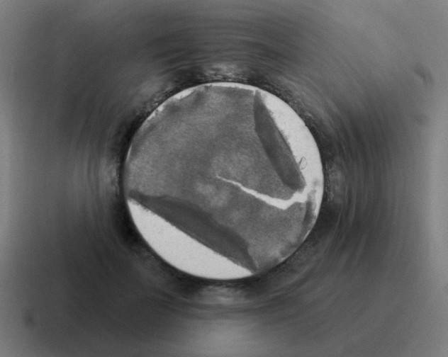 X0000116030699200912312213