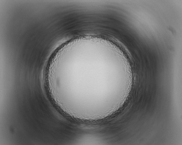 X0000116030725200912312212
