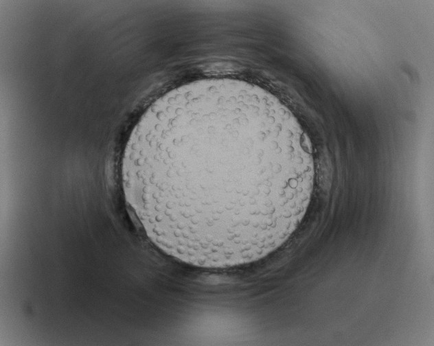 X0000116030755200912312212