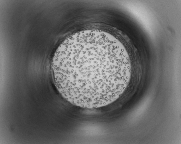X0000116030767200912312212