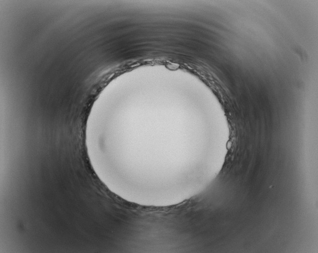 X0000116030773200912312212