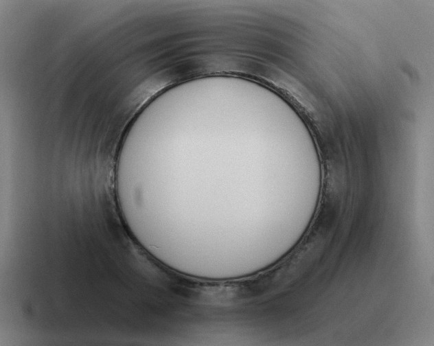 X0000116030793200912312211