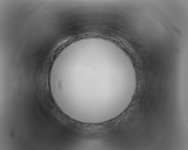 X0000116030824200912312211