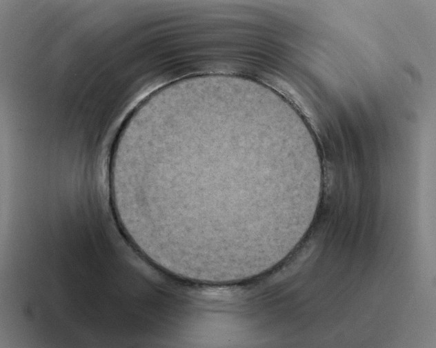 X0000116030843200912312211