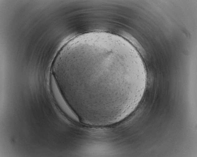 X0000116030850200912312211