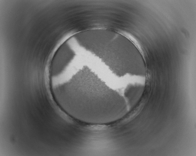 X0000116030859200912312211