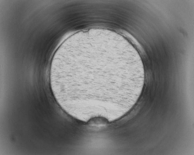 X0000116030860200912312211