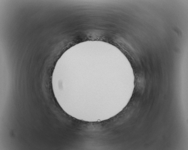 X0000116030865200912312210