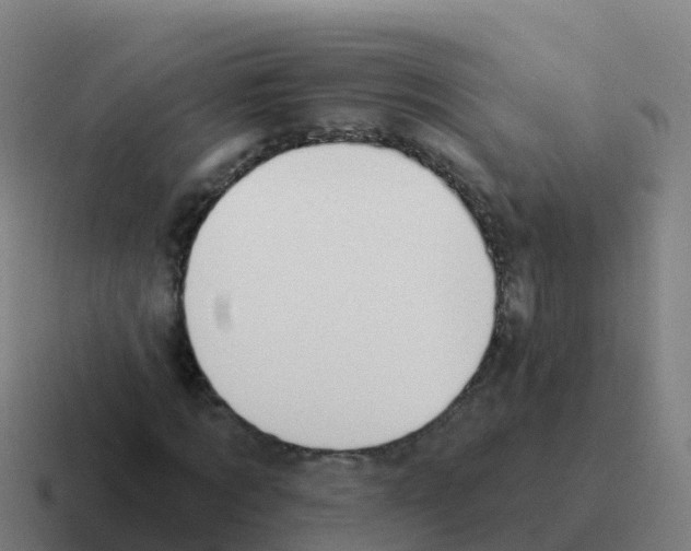 X0000116030869200912312210