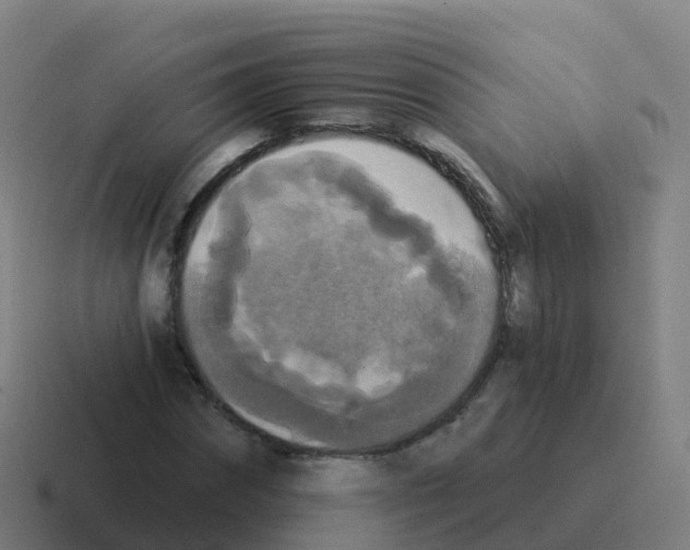 X0000116030874200912312210