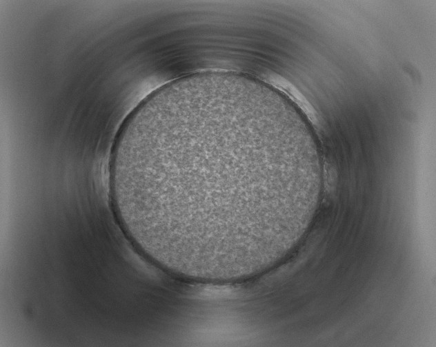 X0000116030890200912312210