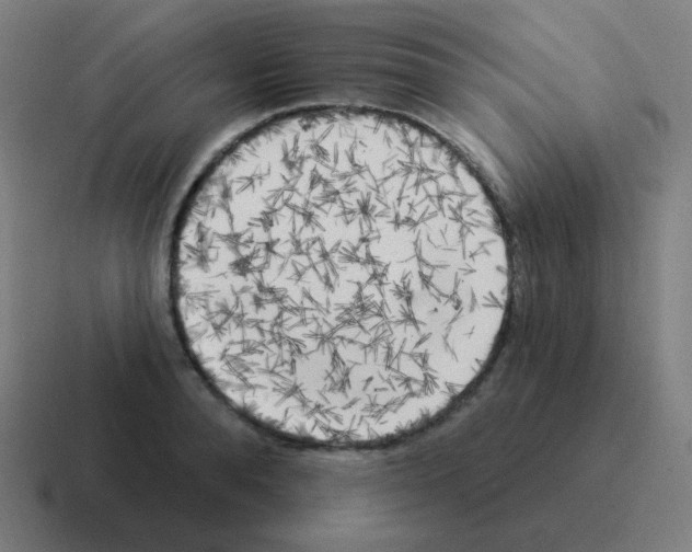 X0000116030896200912312210