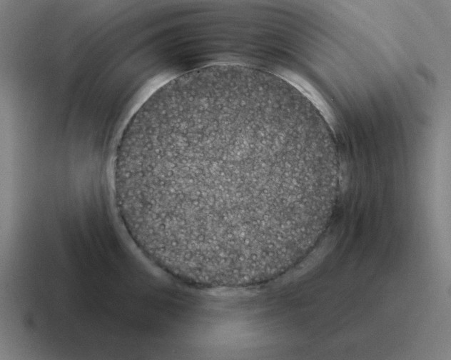 X0000116030906200912312210