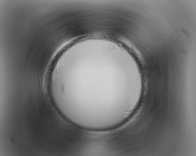 X0000116030925200912312209