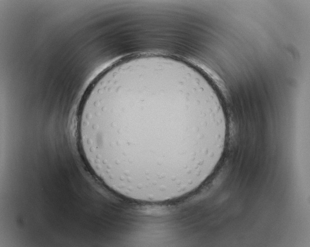 X0000116030933200912312209
