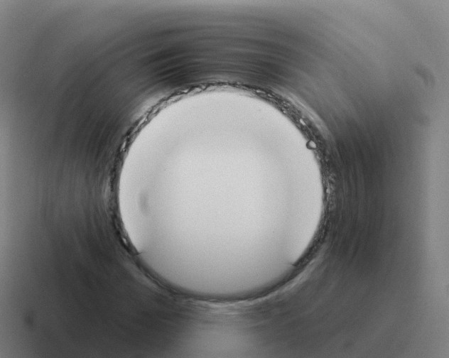 X0000116030969200912312209