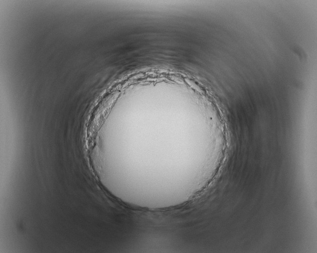 X0000116031009200912312208