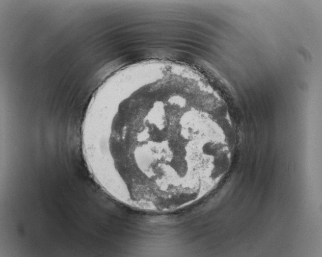 X0000116031025200912312208