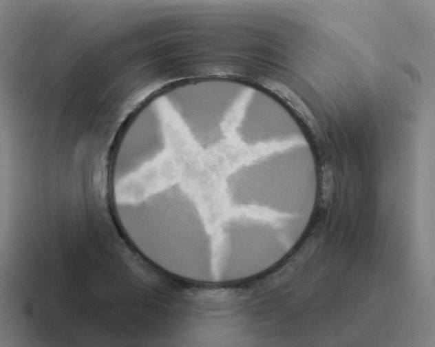 X0000116031031200912312208