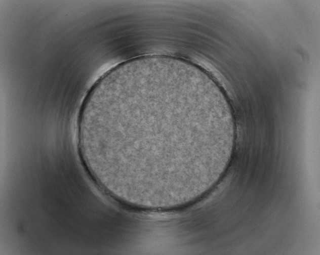 X0000116031034200912312208
