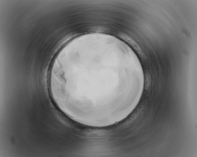 X0000116031039200912312208