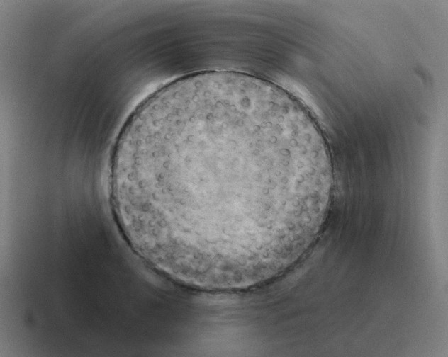 X0000116031040200912312208