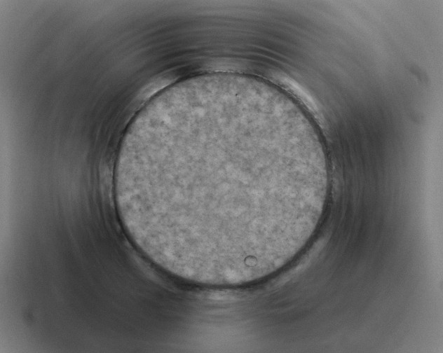 X0000116031041200912312208