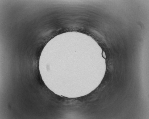 X0000116031061200912312208