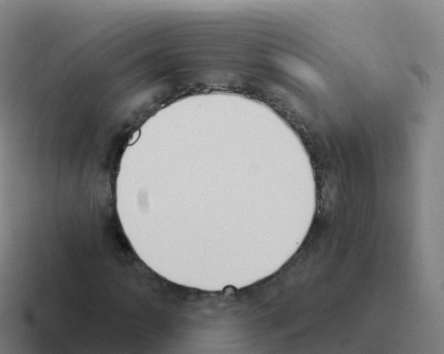 X0000116031062200912312208