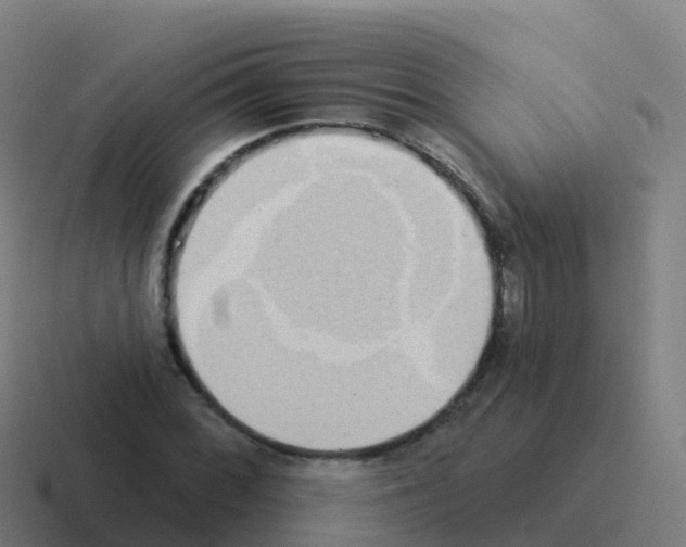 X0000116031068200912312208