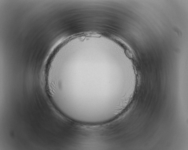 X0000116031075200912312208