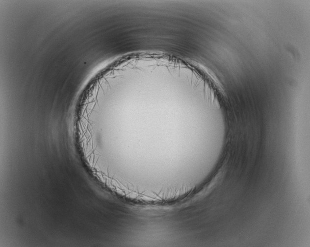 X0000116031077200912312208