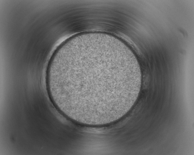 X0000116031086200912312208