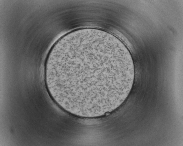 X0000116031092200912312208