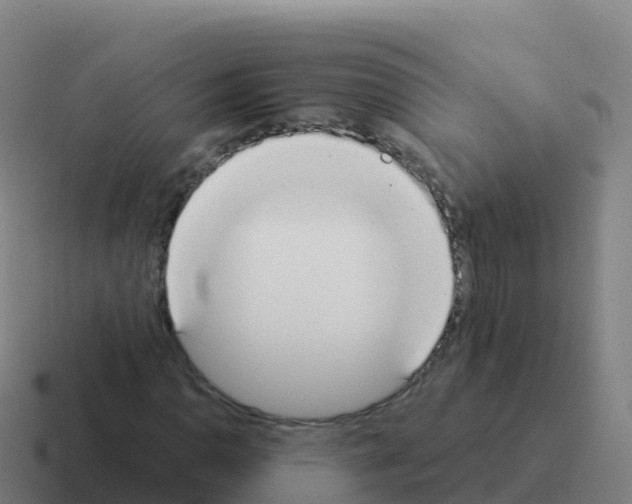 X0000116031110200912312207