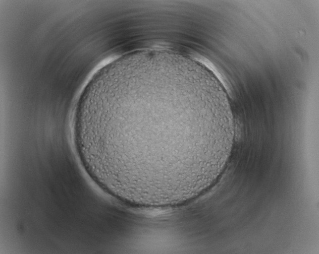 X0000116031139200912312207