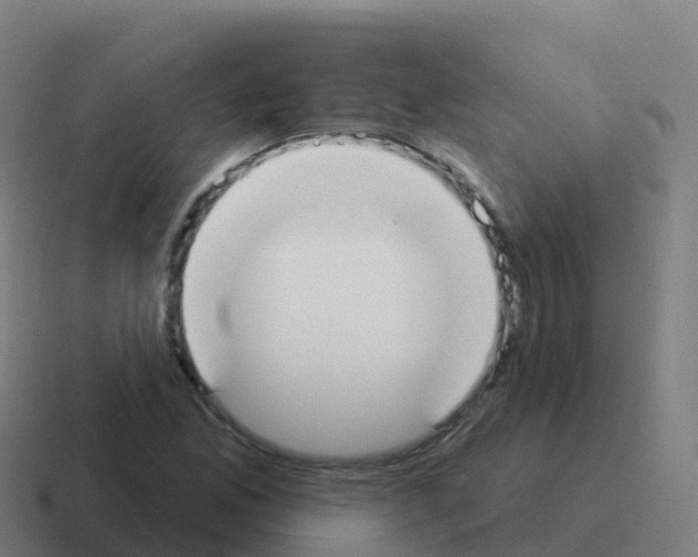 X0000116031165200912312207