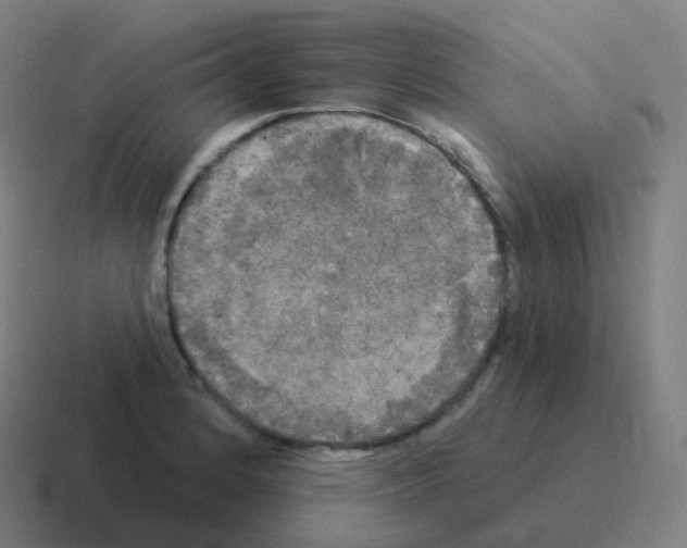 X0000116031184200912312206