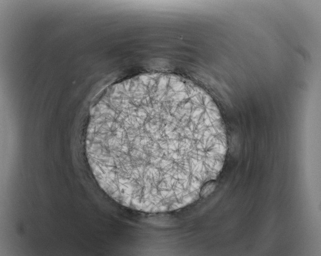 X0000116031201200912312206