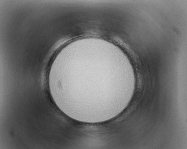 X0000116031215200912312206