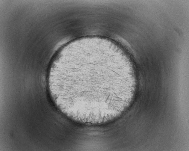 X0000116031218200912312206