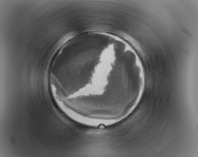 X0000116031237200912312206