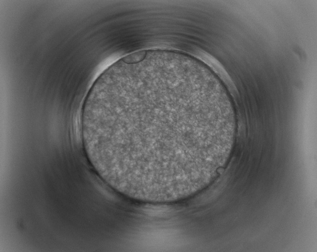 X0000116031242200912312206