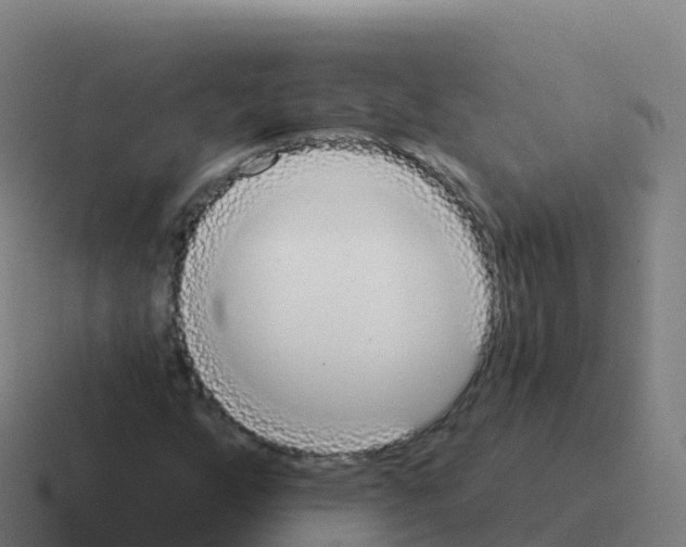 X0000116031255200912312205