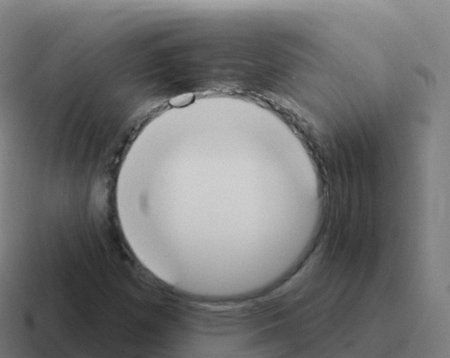 X0000116031257200912312205