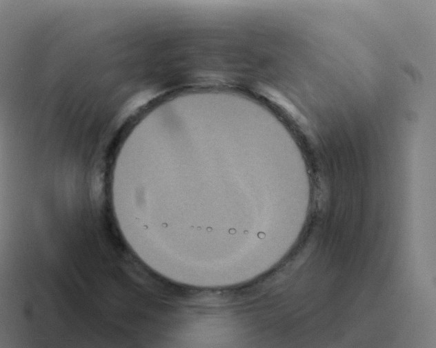 X0000116031259200912312205