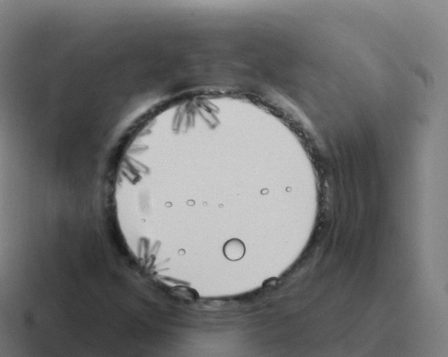 X0000116031352200912312204